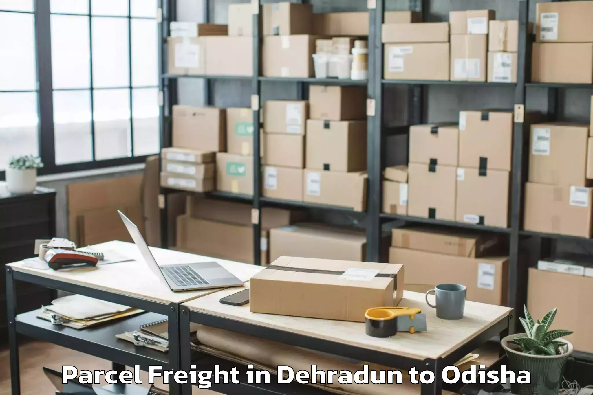 Book Dehradun to Banposh Parcel Freight